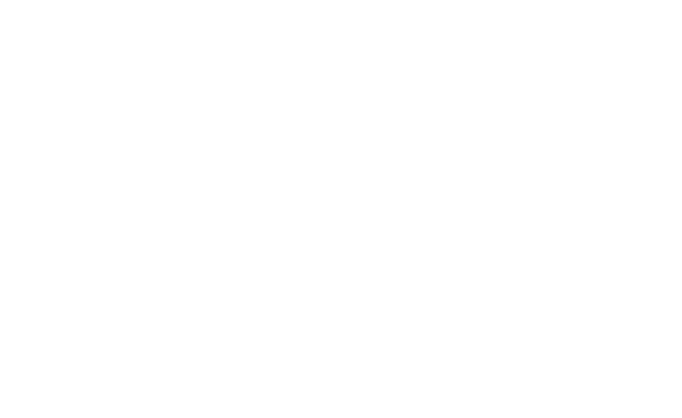 明亮的Aloha
